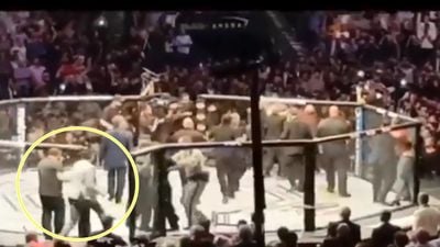 Irish fan rushed into Octagon at UFC 229 in attempt to protect Conor McGregor