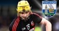 The deadliest goalscorer in club hurling can’t be far off Waterford call-up