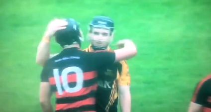 If ever a moment ever summed up beauty of club, it was one between Tony Kelly and Pauric Mahony