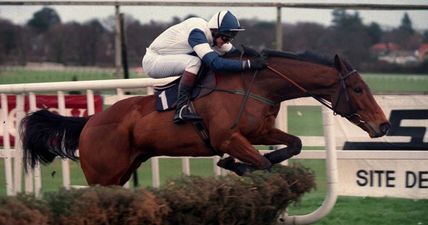 Ruby Walsh pays tribute to his first ever Grade 1 winner Alexander Banquet after horses death