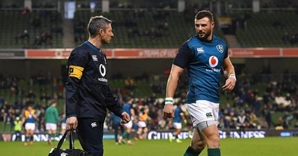 Ireland dealt two big injury blows ahead of New Zealand game