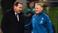 Steve Hansen comments are the last thing Irish fans want to hear today