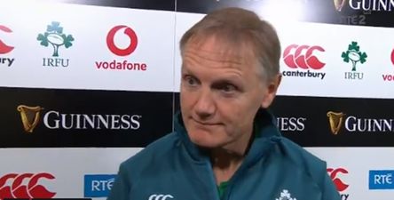 RTE panel think Joe Schmidt is leaving after post-match interview