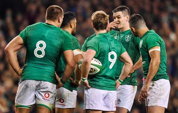 Three uncapped players included in Ireland Six Nations squad