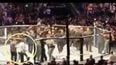 UFC bans Conor McGregor fan who ran into Octagon at UFC 229