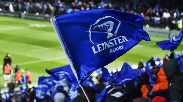 Leinster Bath flags