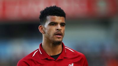 Clubs facing relegation set for battle to sign Dominic Solanke on loan from Liverpool