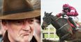 Theory as to why Mullins’ and Elliott’s hotshots struggled and the smaller yards won at Christmas