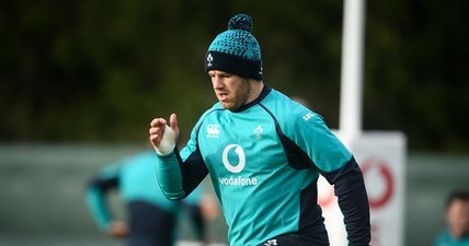 CJ Stander: Sean O’Brien is a player that can just jump straight into the deep end