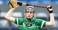 Limerick camógs following hurlers’ footsteps with another big win