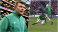 Scots fume as Peter O’Mahony collision rules Stuart Hogg out of Six Nations