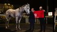 Togoville makes history with tenth victory on all-weather track in Dundalk