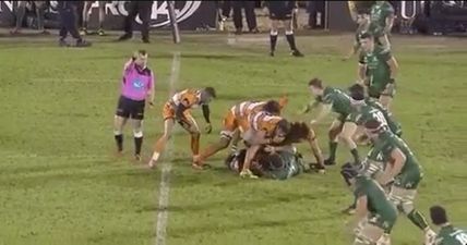 Cheetahs centre receives 13-week ban for clearing contents of nose on opponent