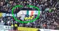 Steward removes tri-colour flag during Celtic’s win over Dundee