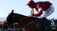 Tiger Roll makes punters’ day with back-to-back Grand National victories