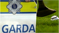 Dublin hurling match interrupted as Gardaí chase low-loader truck around ground