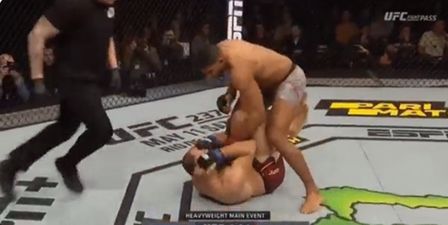 Alistair Overeem stops Alexey Oleinik in the first round