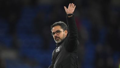 David Wagner agrees return to football management for next season as Schalke coach