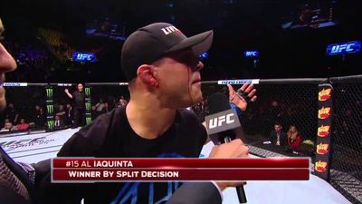 Al Iaquinta reveals the rule that the UFC named after him