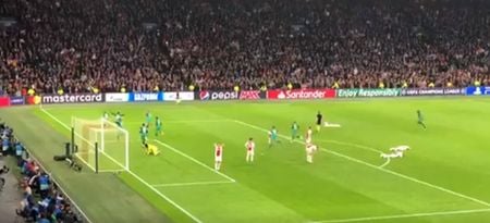 Fan footage captures Amsterdam silence as Moura fires home Spurs winner