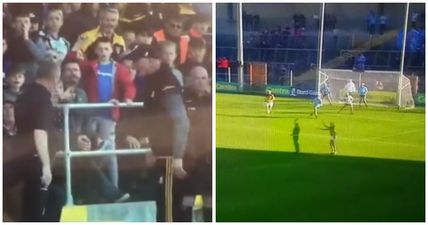 Brian Cody goes berserk at Dublin mentor after he catches quick Kilkenny free