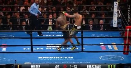 Wilder targeting Joshua after devastating Breazeale knockout