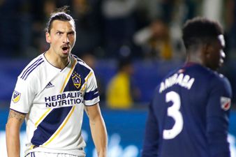 Zlatan Ibrahimovic scores with (another) ridiculous bicycle kick