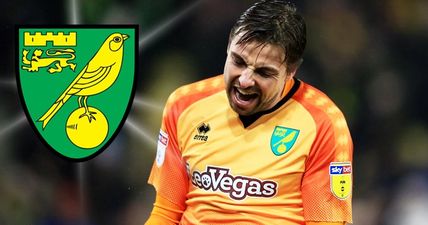 Norwich City fans living it up with cheaper tickets on the way