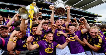 ‘Wexford are just lacking a little to be genuine All-Ireland contenders’