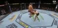 Jorge Masvidal obliterates Ben Askren with five-second knockout