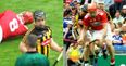 Richie Hogan reaction to ferocious Bill Cooper hit sums up a man hungry for more