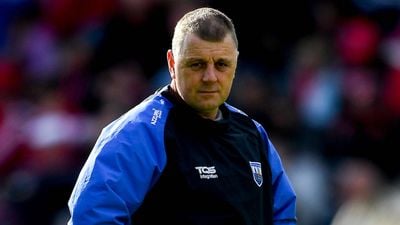 Paraic Fanning steps down as Waterford senior hurling manager