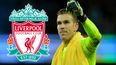 Liverpool sign Adrian as Simon Mignolet returns to Belgium