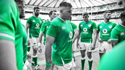 CJ Stander picked a bad time to have his most anonymous game in green