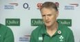 Joe Schmidt names three players that could return against Wales