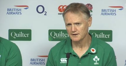 Joe Schmidt names three players that could return against Wales