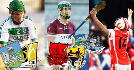 Ballyhale post cricket score as King Con and Hedgo light it up in Dublin