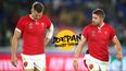 Dan Biggar the star 10 at World Cup – Flannery