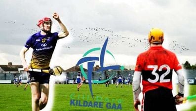 The three Kildare men putting their county on hurling map on Fitzgibbon weekend