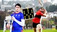 Dream team and fact file of the final four in Fitzgibbon Cup