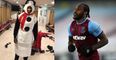 Michail Antonio pays £20k insurance after crashing Lamborghini while dressed as snowman