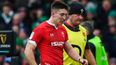 Wales in disarray after Josh Adams “embarrassed himself” with Covid breach