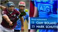 Sky Sports make bizarre mistake during Dublin v Galway hurling game