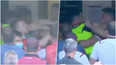 Brawl breaks out between Mayo and Galway players at half-time