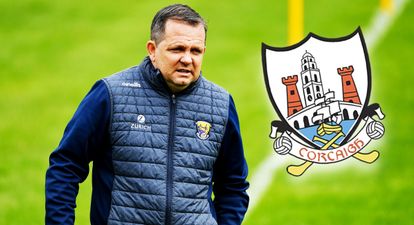 Davy Fitzgerald in talks to take over as coach of Cork senior camogie team