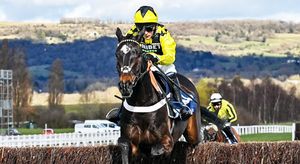 Cheltenham Day Two