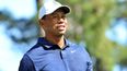 “I can hit the ball just fine… now walking is the hard part” – Tiger Woods