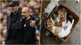 Liverpool, Manchester City, the Premier League title and Schrödinger’s cat