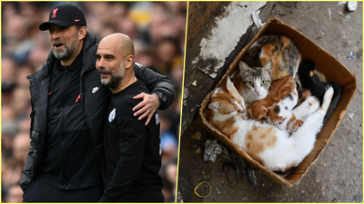 Liverpool, Manchester City, the Premier League title and Schrödinger’s cat