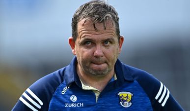 Davy Fitzgerald responds to links with vacant Laois job